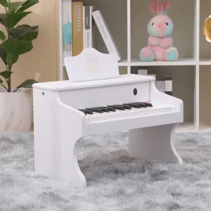 25 Keys Kids Piano Keyboard Tabletop Digital Piano Electrial Keyboard Home Tiny Piano Mini Music Educational Instrument for Kids Toddlers Girls Boys