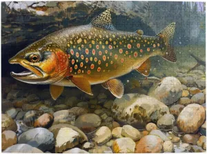 500 Piece Jigsaw Puzzle for Adults,Brook Trout Fly Fishing, Puzzles with Letters on Back, Challenging Puzzle for Game Night Home Décor, 15 x 20.4