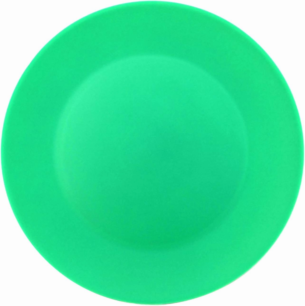 AOYITE Plastic Dinner Plates Reusable BPA Free Dishwasher Safe Microwaveable Plate for Any Occasion, BBQ, Travel, and Events (Multicolor set of 12)
