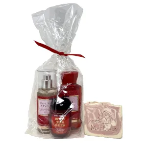 Bath & Body Works You're The One Mini 3 Piece Gift Bag Set with a Himalayan Salts Springs Sample Soap -