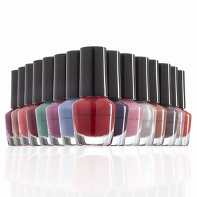 Beauty Concepts Nail Polish Set, Nail Polish Collection, Polish Kit for Fingernails and Toenails, 0.14 Fl Oz (Pack of 15), Blue Box/Pastels and Assorted Colors