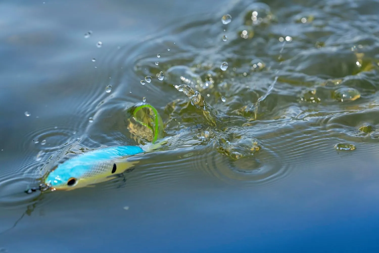 Berkley Choppo Fishing Hard Bait