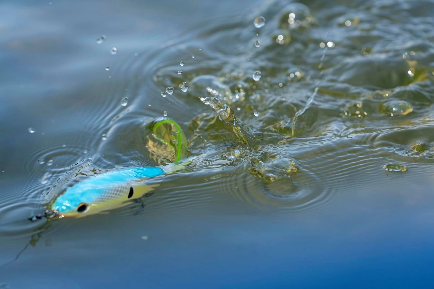Berkley Choppo Fishing Hard Bait