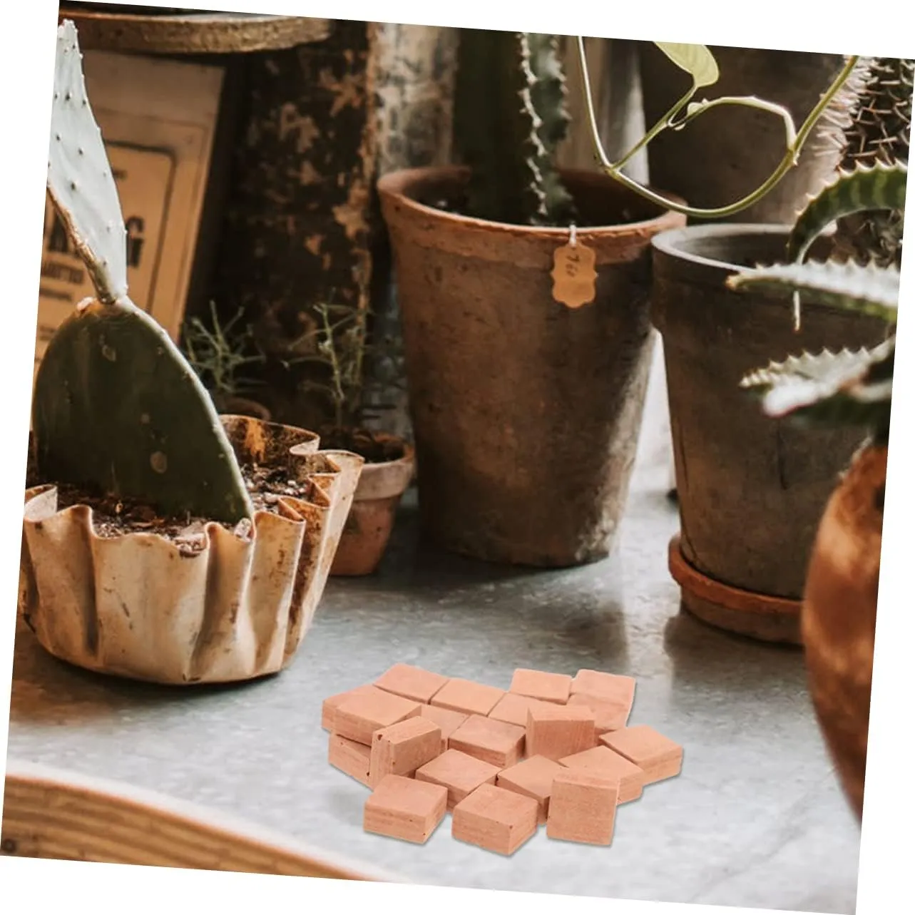 BESPORTBLE 4sets 40pcs Miniature for DIY Micro Landscaping Square Shape Simulated Brick Models for Handmade Layouts and Creative Decor Playtime 40pcs*4