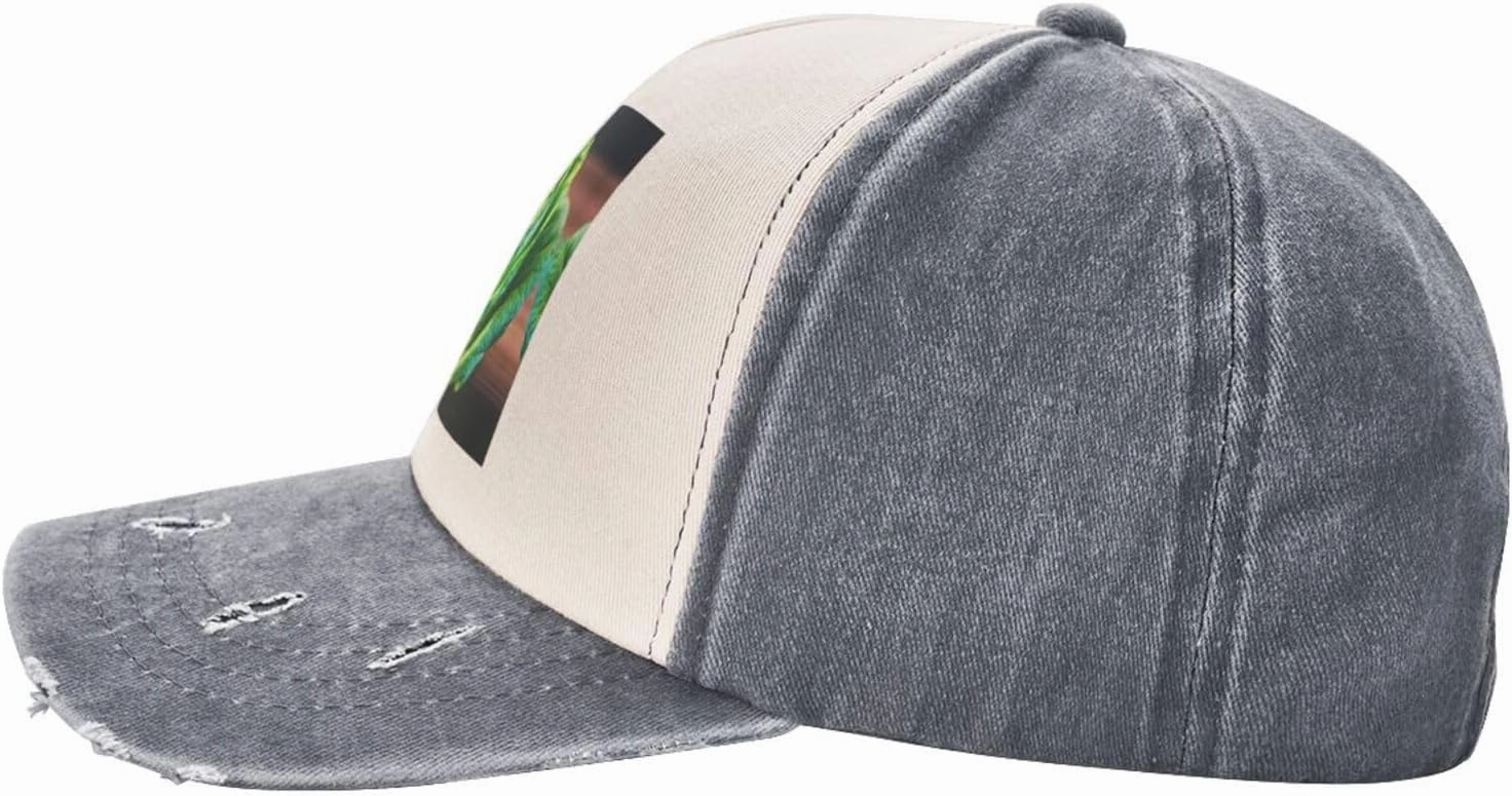 Bright Cabbage Print Plain hat Washed Distressed Baseball Cap Adjustable Hat Unisex Classic Outdoor Hat