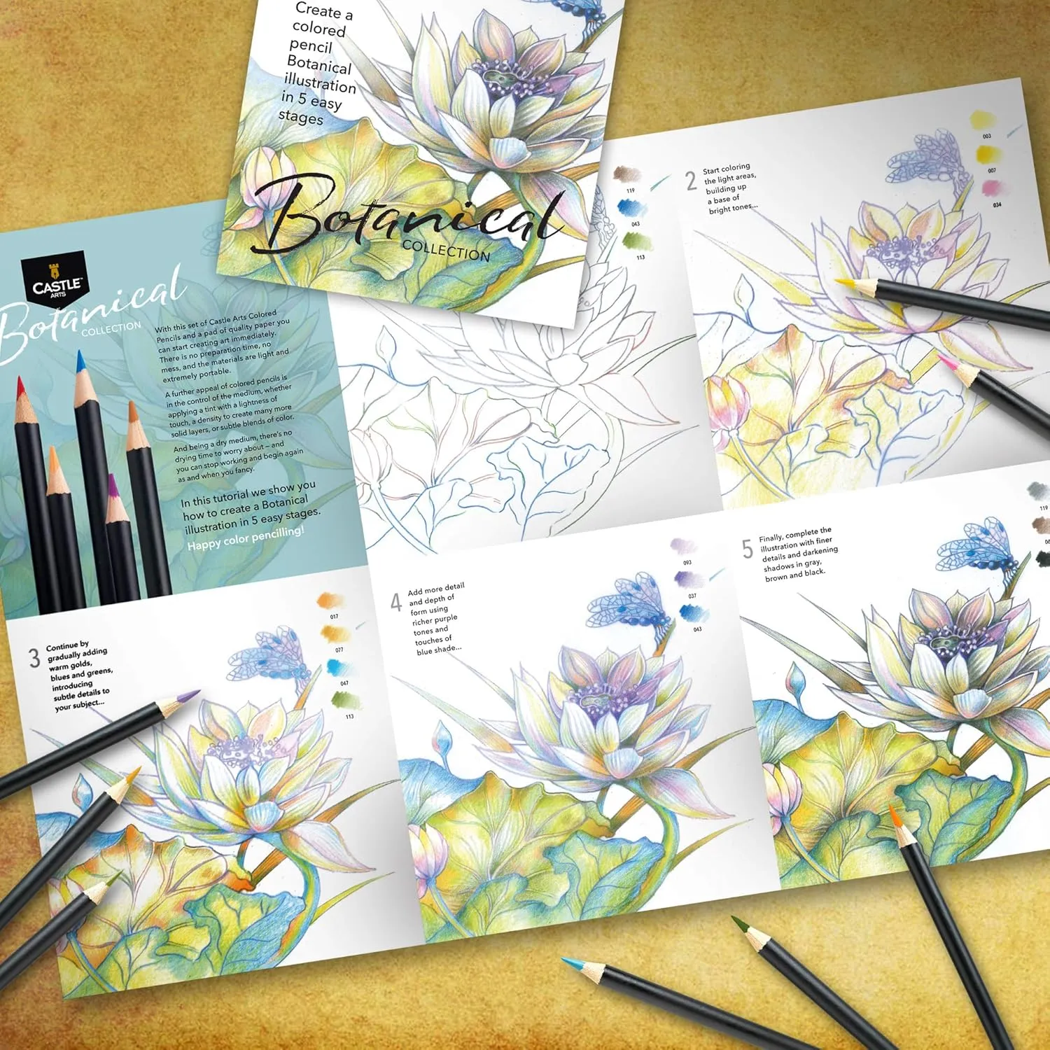 Castle Arts Themed 24 Coloured Pencil Set in Tin Box, perfect colours for ‘Botanical’ Art. Featuring quality, smooth coloured cores, superior blending & layering performance for great results