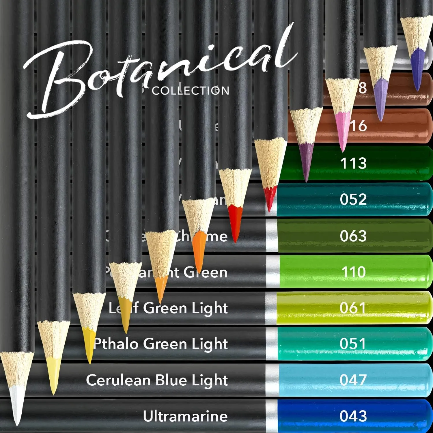 Castle Arts Themed 24 Coloured Pencil Set in Tin Box, perfect colours for ‘Botanical’ Art. Featuring quality, smooth coloured cores, superior blending & layering performance for great results