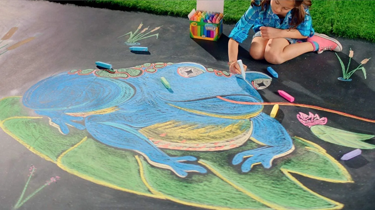 Crayola Washable Sidewalk Chalk - 48 Colors
