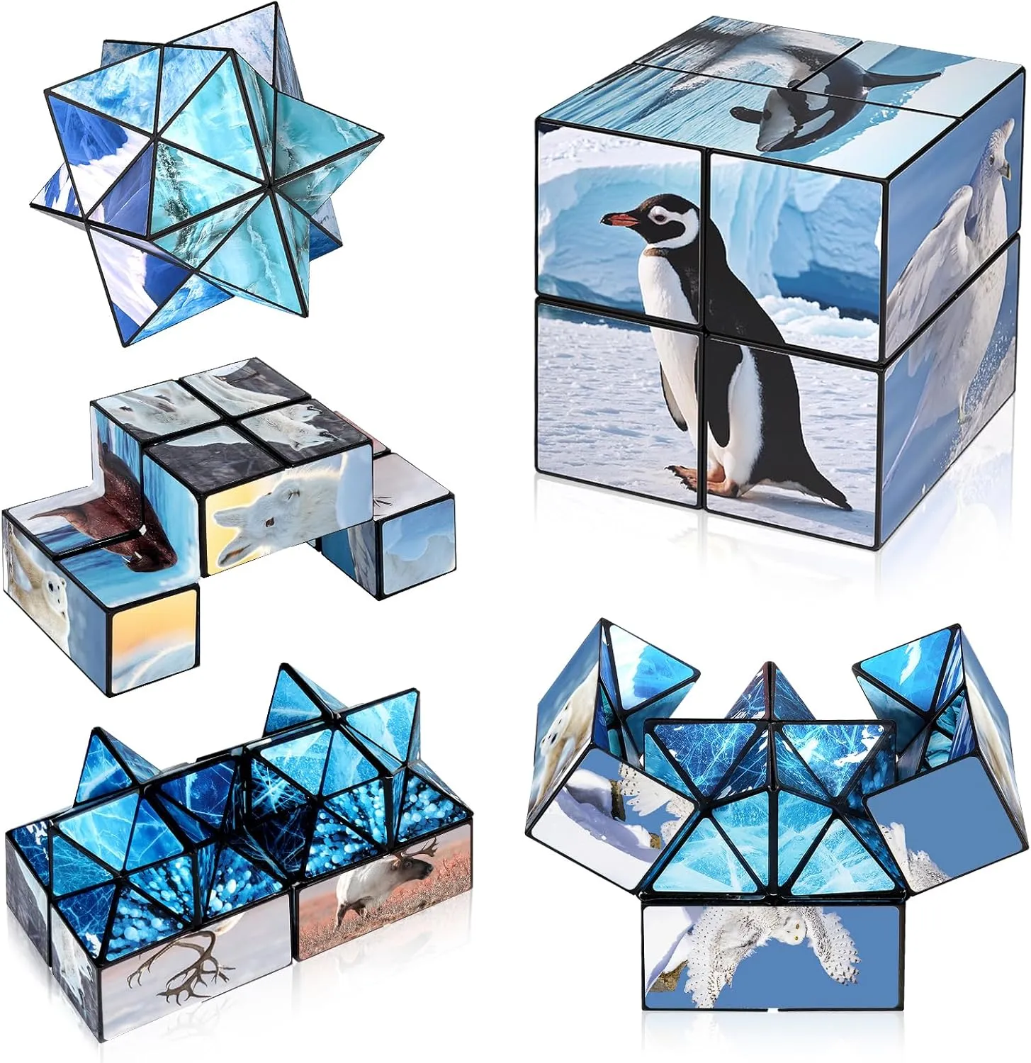 Euclidean Cube 2 in 1 Magic Cube Set, Infinity Cube Fidget Toy for Kids Adults, Yoshimoto Cube for Ages 8-12, Arctic/Antarctic Animals Puzzle Cube Fun Toy for Boys Girls (Polar Series)