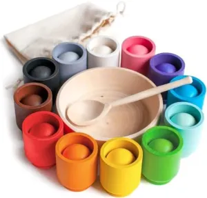 FUNdamentals4kids Montessori Wooden Color Sorting Game, 12 Balls, Ages 3 