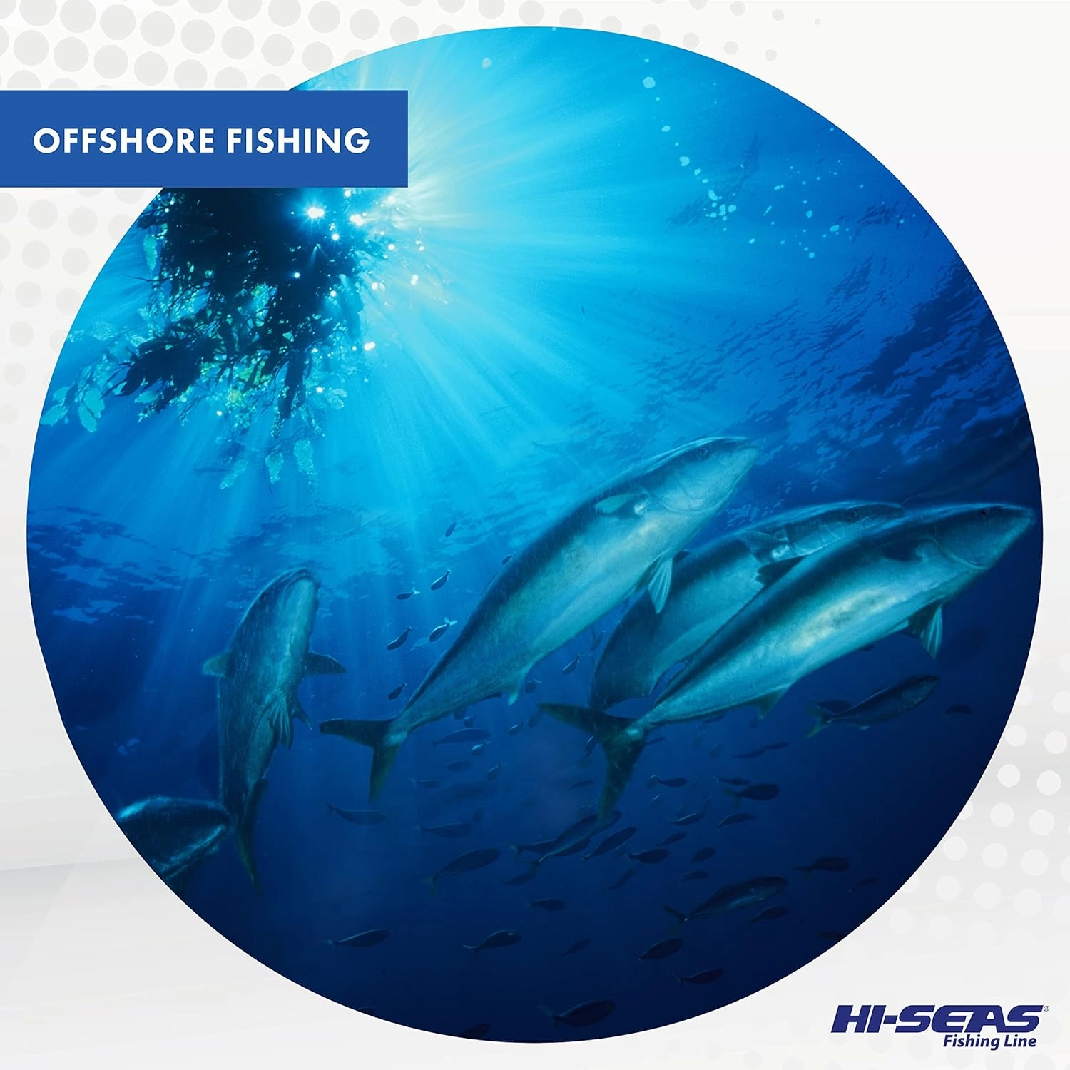 HI-SEAS Quattro Monofilament Fishing Line - Low-vis 4 Color Camo, Strong & Durable Performance Saltwater Main Line