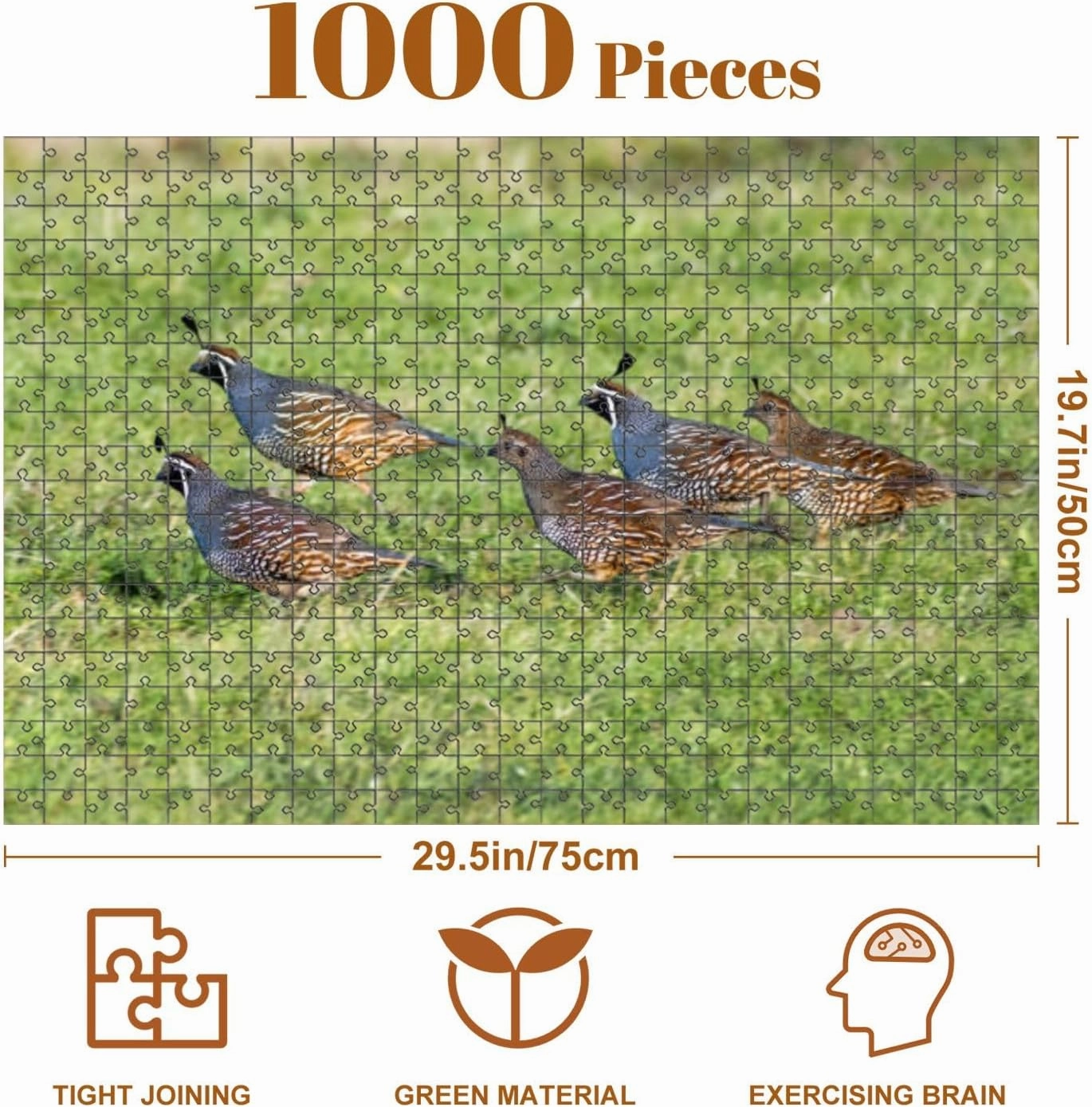 Jigsaw Puzzles 1000 Pieces for Adult Flock California Quail Callipepla californica Running grasslands Point Puzzle Game for Family Wooden Puzzle Toy Educational Games Puzzles for Home Decor