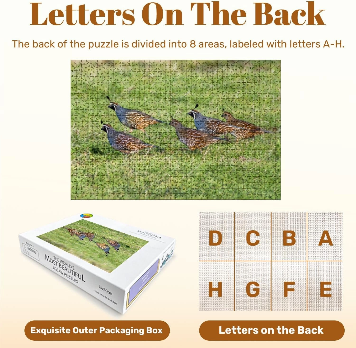 Jigsaw Puzzles 1000 Pieces for Adult Flock California Quail Callipepla californica Running grasslands Point Puzzle Game for Family Wooden Puzzle Toy Educational Games Puzzles for Home Decor