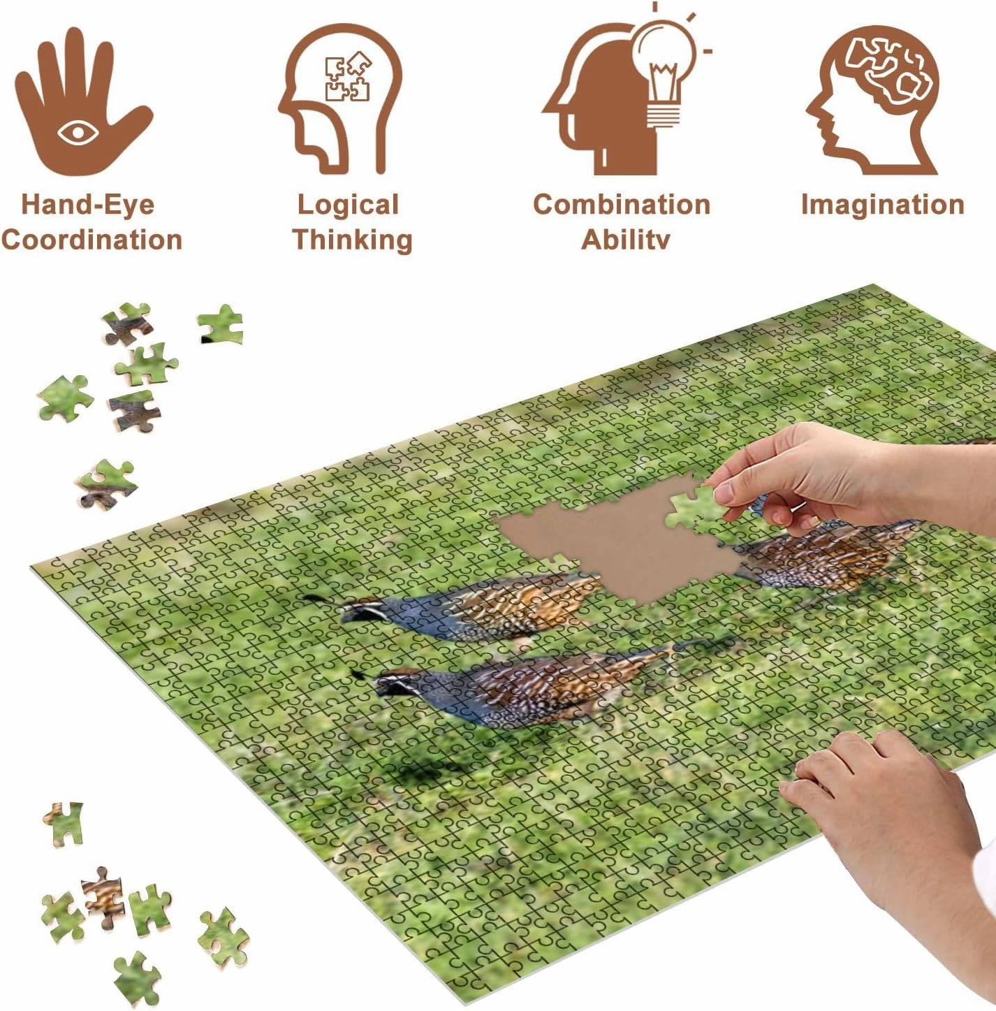 Jigsaw Puzzles 1000 Pieces for Adult Flock California Quail Callipepla californica Running grasslands Point Puzzle Game for Family Wooden Puzzle Toy Educational Games Puzzles for Home Decor