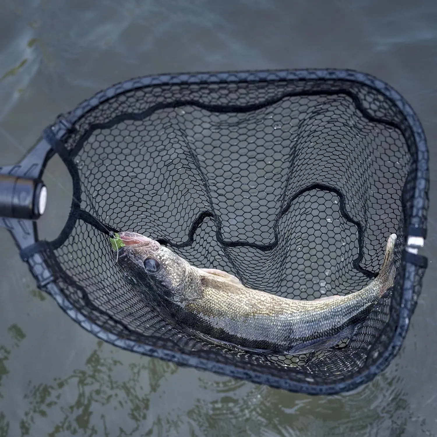 KastKing Brutus Fishing Net, Foldable Extendable Fish Landing Net, Lightweight & Portable Fishing Net with Soft EVA Foam Handle, Holds up to 44lbs/20KG, Fish-Friendly Mesh for a Safe Release