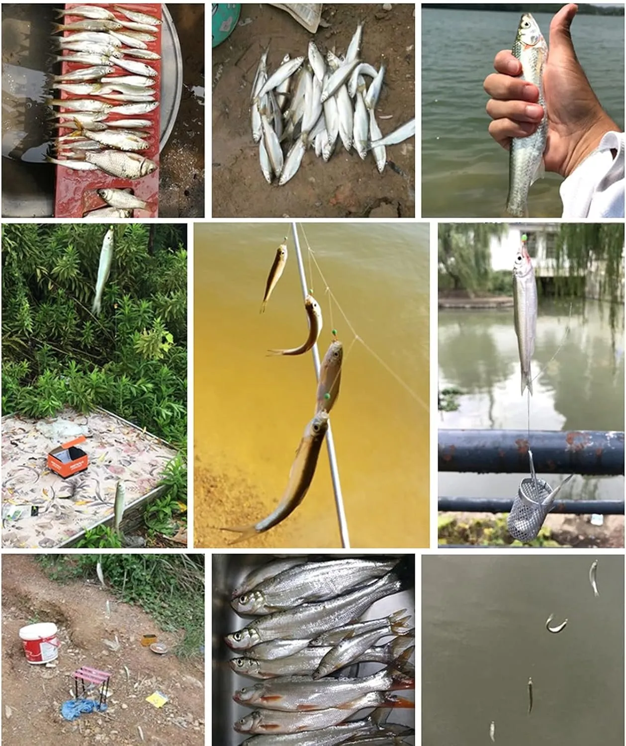 Liudan Fishing Hook 5 Pairs White Rod with Rope Hook Group Seven Star Fishing Hook White Gold 7 Hook with Cage Fishing Hook Fishing Hooks