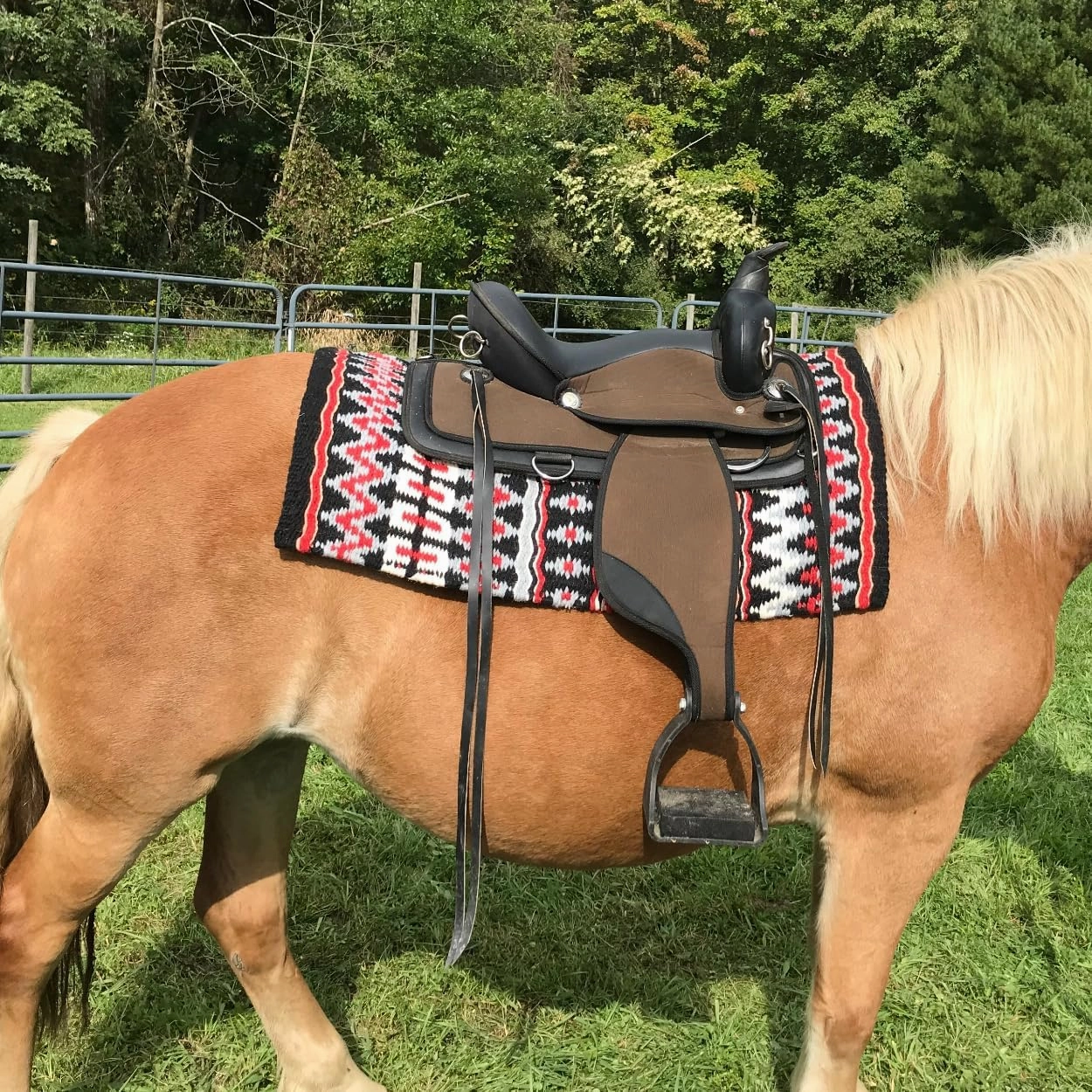 Livia Western Show Saddle Blanket – Handwoven 100% New Zealand Wool, Oversize 34" x 38", Over 5 lbs, Breathable, Ideal for Layering at Horse Shows, Parades & Rodeos