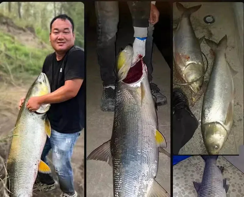 Long Lure Rod Surf Spinning / Fishing Rod