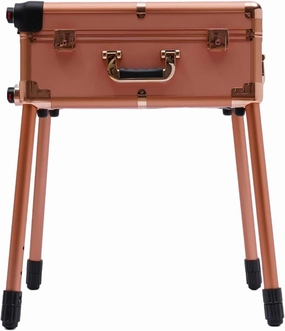 Makeup Case, 12V 110.23LBS Aluminum Rolling Makeup Case, 360°Swivel Wheels Reinforced Lock Train Trolley, 8 LED Multi-Functional Large Storage Traveling Cart, With Power Cord, For Hairdressers