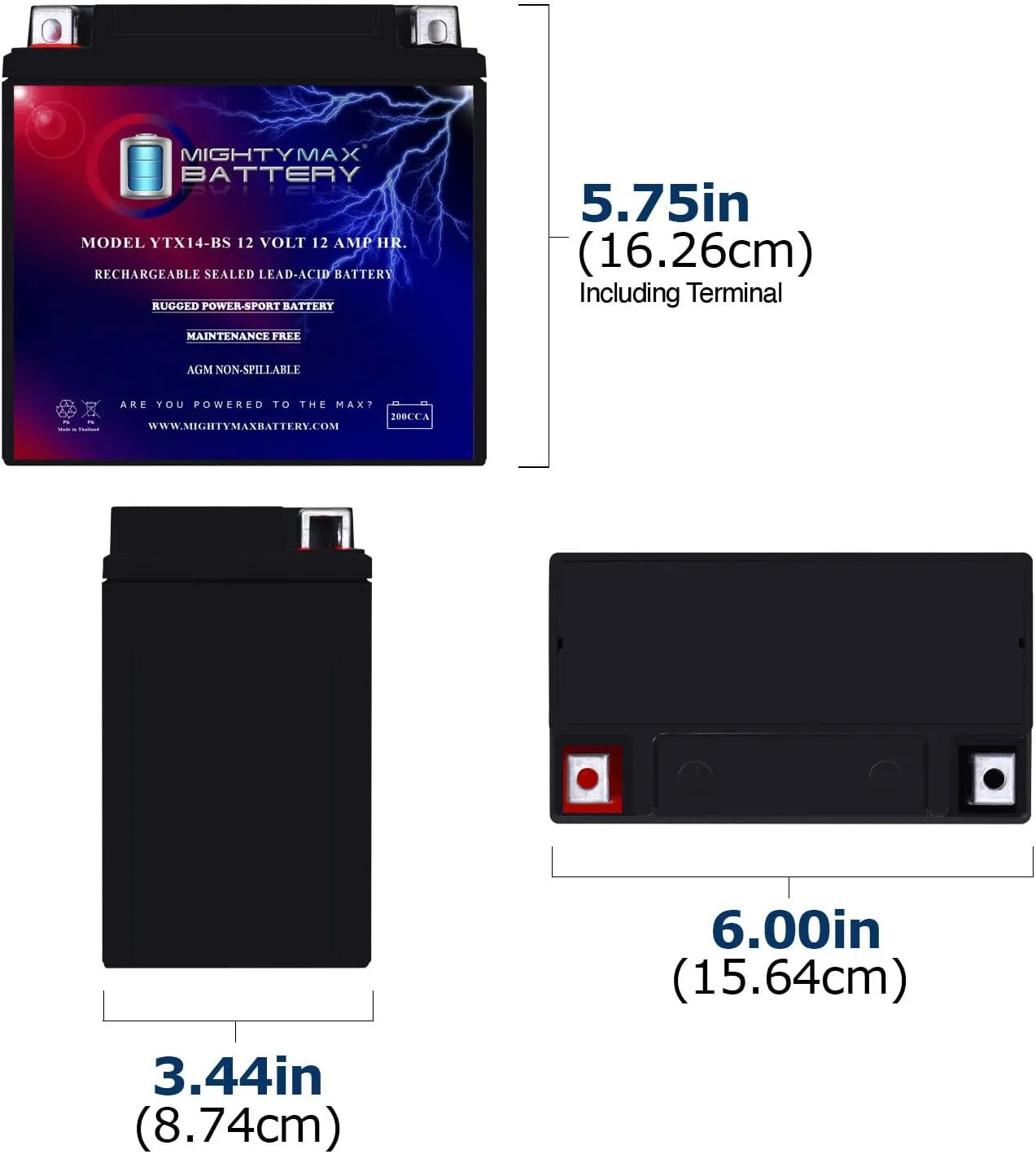 Mighty Max Battery YTX14-BS - 12 Volt 12 AH, 200 CCA, Rechargeable Maintenance Free SLA AGM Motorcycle Battery