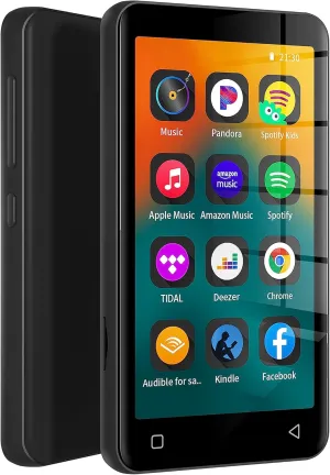 MP3 Player with Bluetooth and WiFi,MP3 Player with Spotify,Spotify Kids,Audible,Pandora,Amazon Music,4" Music Player MP4 Up to 1TB(80GB,Black)