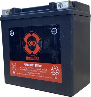 MX14-BS AGM Motorcycle Battery 320  CCA