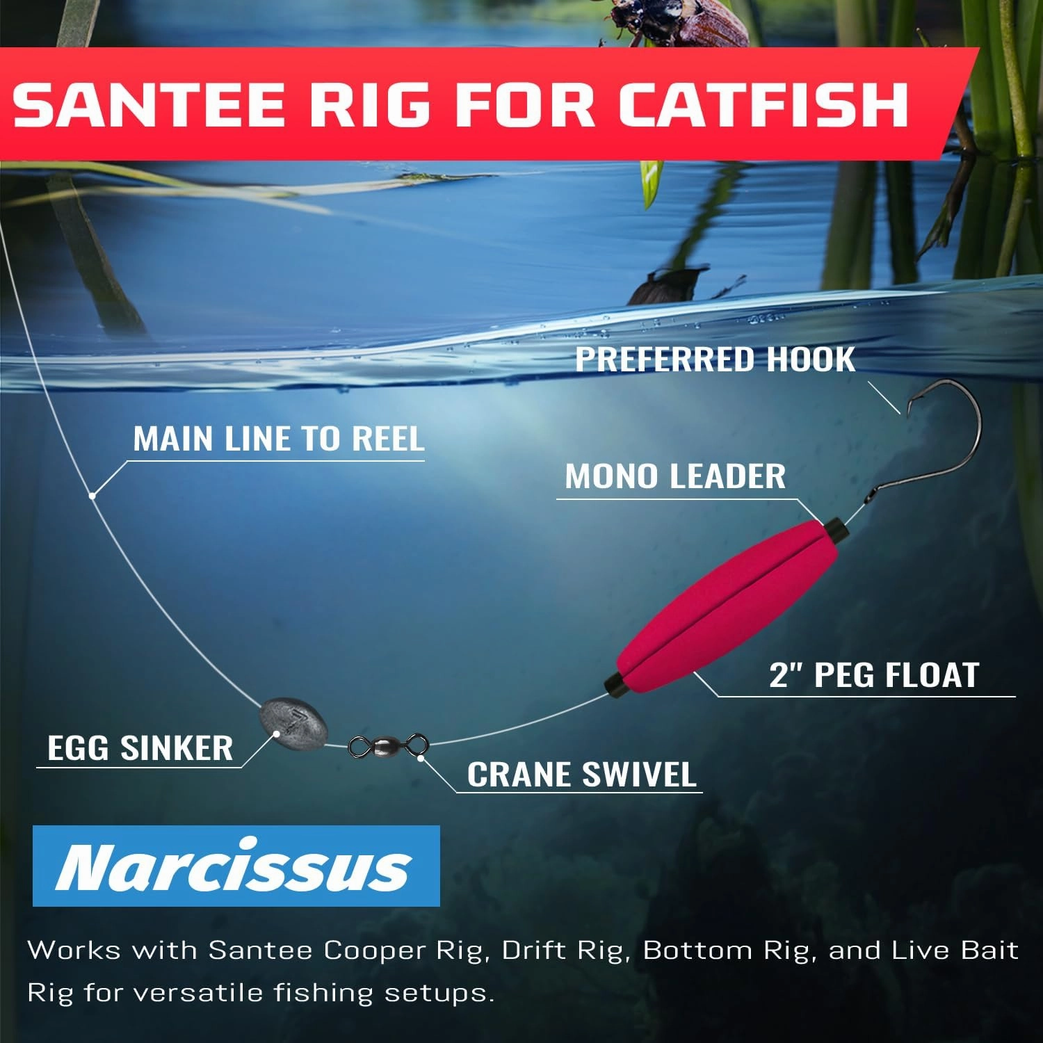 Narcissus Fishing Slotted Peg Floats–Slip Bobbers for Fishing, Fishing Bobbers for Catfish, Bass, Santee Rig