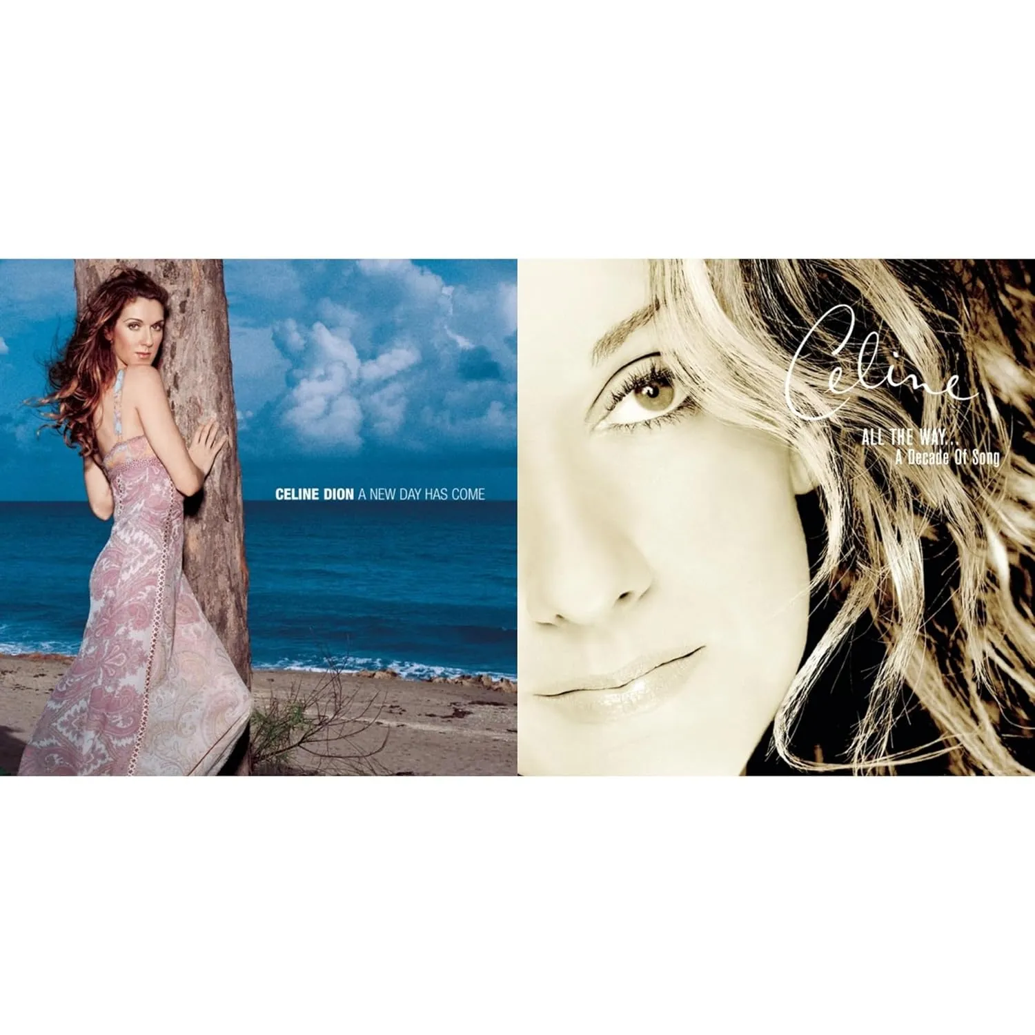 New Day Has Come & Playlist: Celine Dion All The Way...Decade Of Song Compact Disk Set
