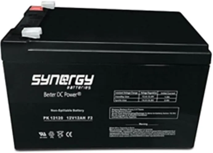 Power King 12V12ah Professional Grade SLA Battery Beiter DC Power
