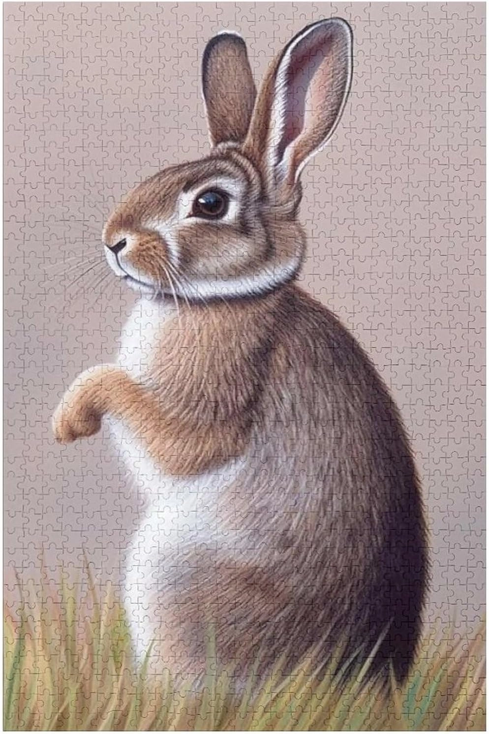 Puzzles for Adults 1000 Pieces - Rabbit Grassland Puzzle Brain Teaser Activity for Kids,Gift for Birthday Christmas