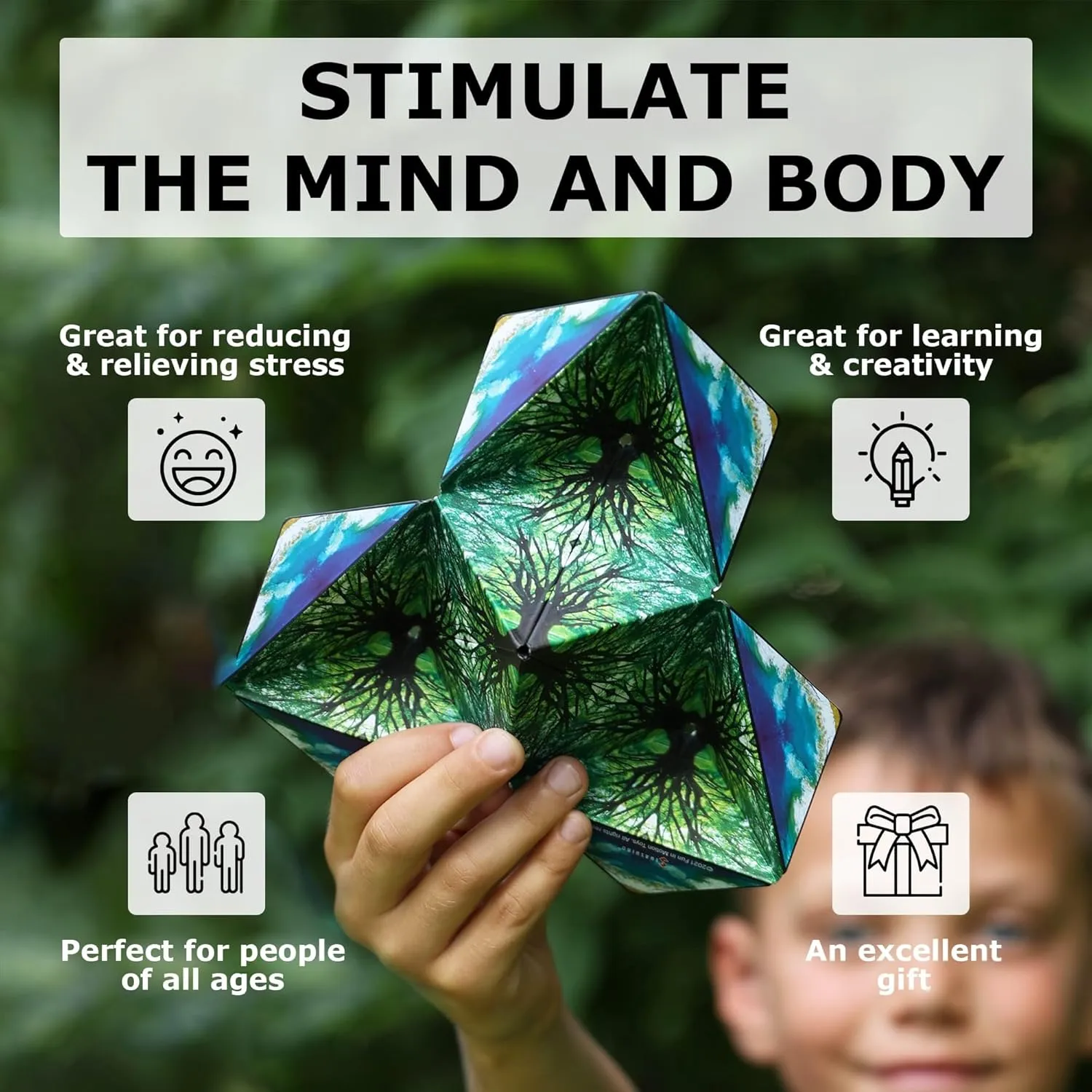 SHASHIBO Shape Shifting Box - STEM Magnetic Fidget Cube that Transforms Into Over 70 Shapes, Download Fun in Motion Toys Mobile App (Wings)