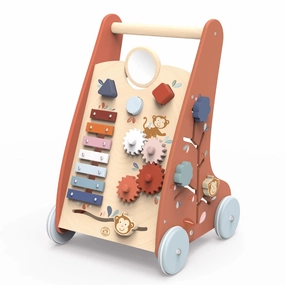 Speedy Monkey - Multi Activity Push Activity Walker