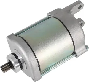 Starter Motor Compatible With Daelim ATV ET 300 ET 250 DAE-C1200-RB1-0000 C1200-RB1-0000