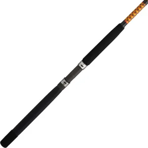 Ugly Stik Bigwater Casting Fishing Rod
