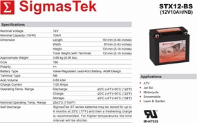 Yuasa YTX12-BS Motorcycle Battery (Replacement)